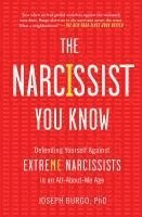 bokomslag Narcissist You Know