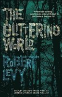 bokomslag The Glittering World