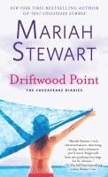 bokomslag Driftwood Point