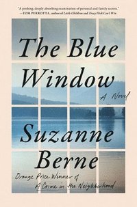 bokomslag Blue Window