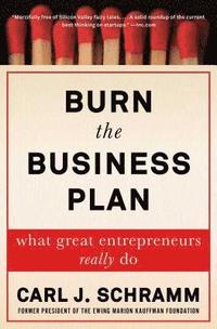 bokomslag Burn The Business Plan