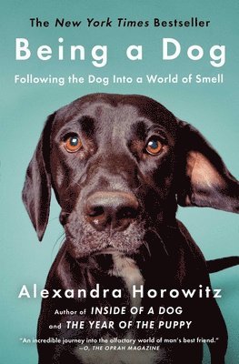 bokomslag Being a Dog: Following the Dog Into a World of Smell