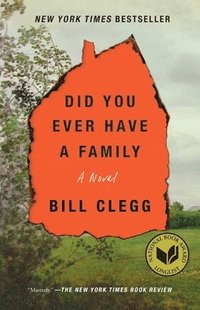 bokomslag Did You Ever Have a Family