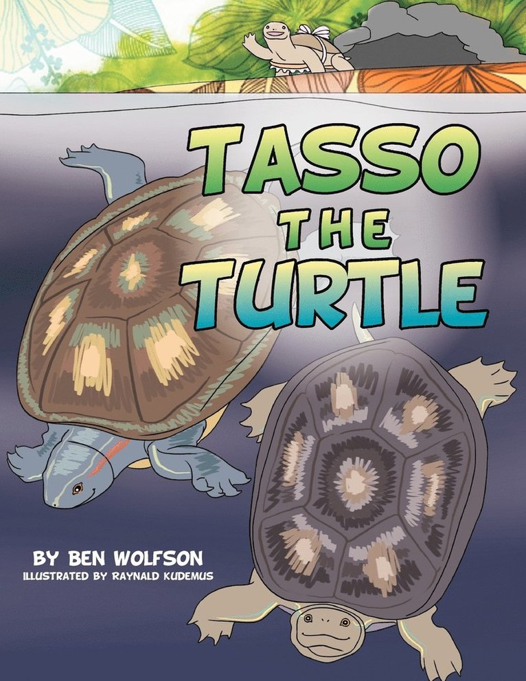 Tasso the Turtle 1