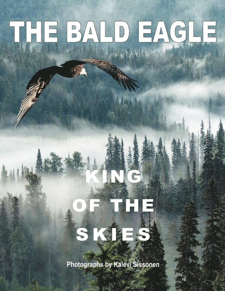 The Bald Eagle 1