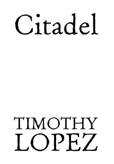 bokomslag Citadel