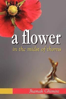 A Flower in the Midst of Thorns 1