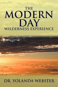bokomslag Modern Day Wilderness Experience