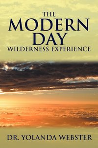 bokomslag The Modern Day Wilderness Experience