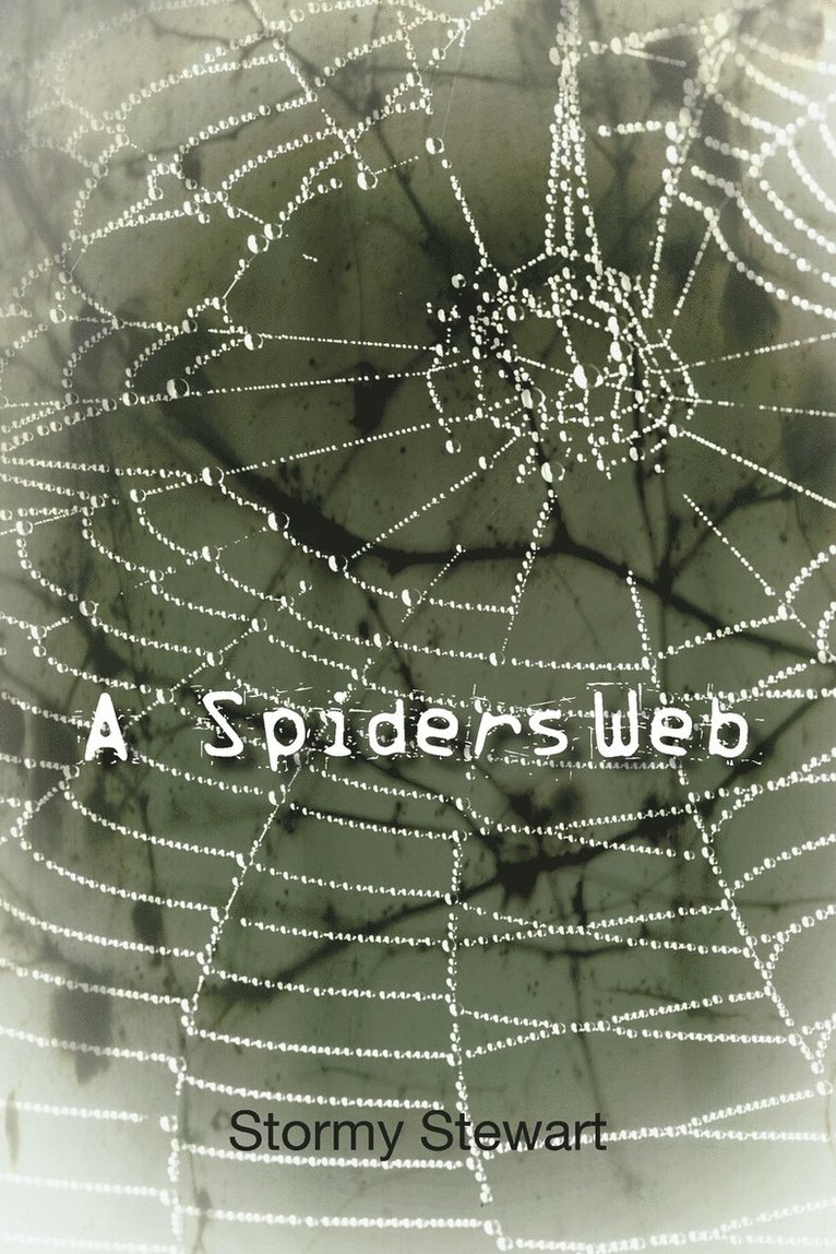 A Spiders Web 1