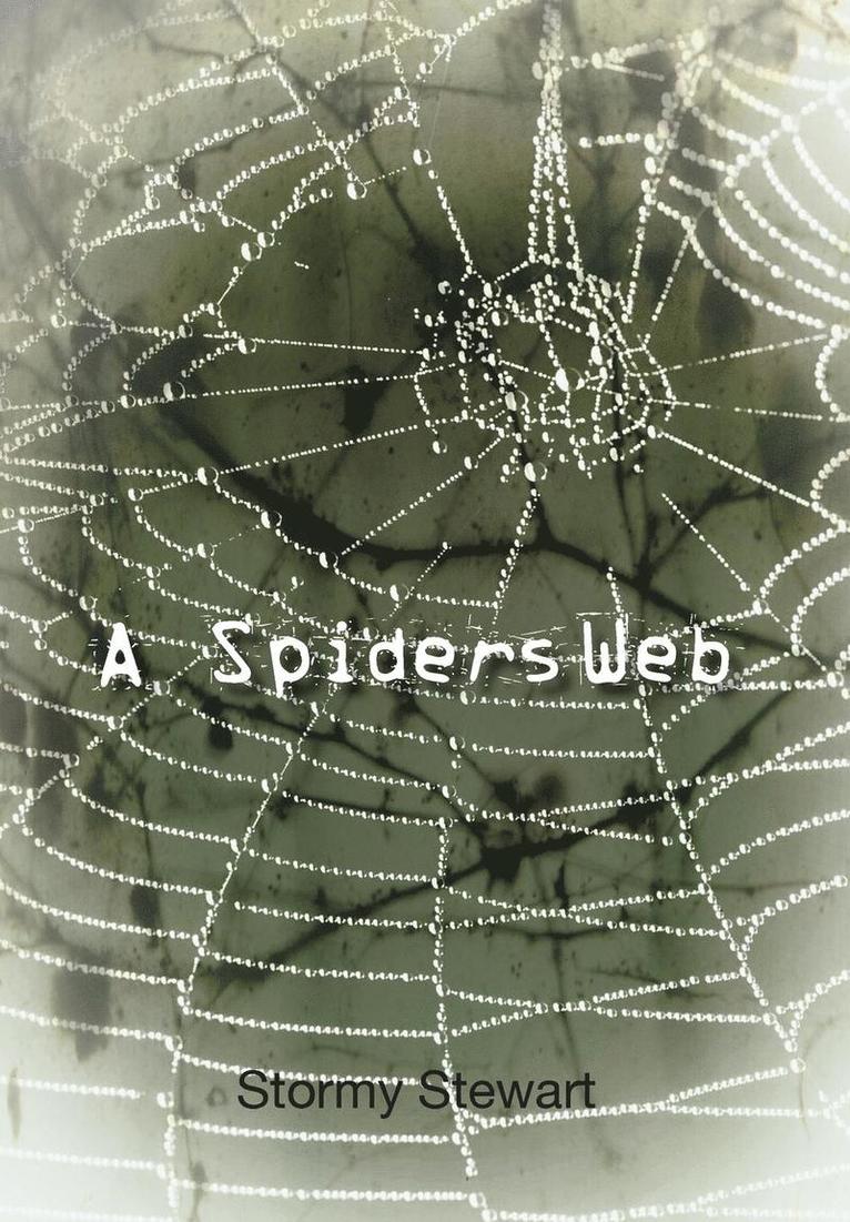 A Spiders Web 1