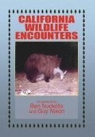 bokomslag California Wildlife Encounters