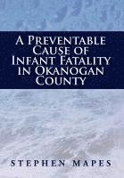 Stephen Mapes - Preventable Cause of Infant Fatality in Okanogan County, Inbunden