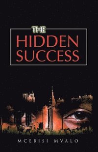 bokomslag Hidden Success