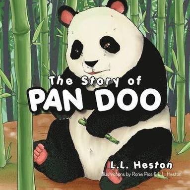 bokomslag Story of Pan Doo