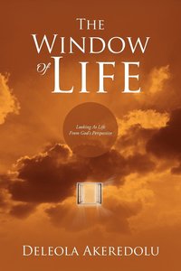 bokomslag The Window Of Life