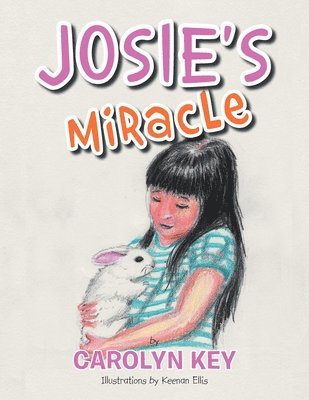 bokomslag Josie's Miracle