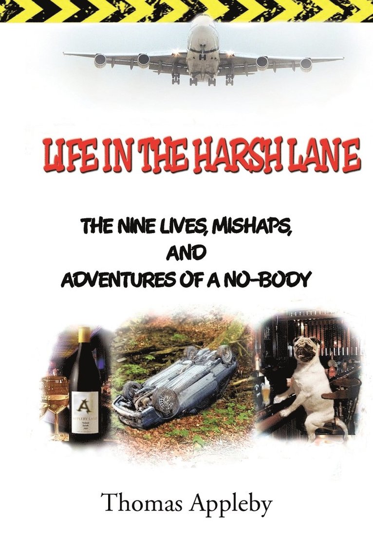 Life in the Harsh Lane 1