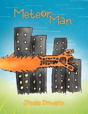 bokomslag Meteor Man