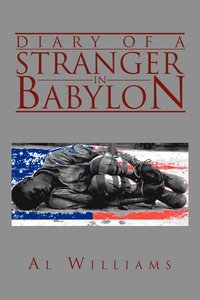 bokomslag Diary of a Stranger in Babylon