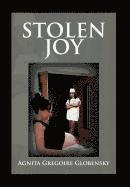 bokomslag Stolen Joy