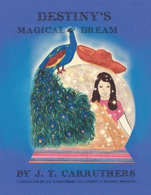 bokomslag Destiny's Magical Dream