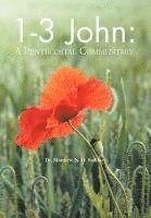 1-3 John