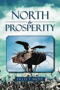 bokomslag North to Prosperity
