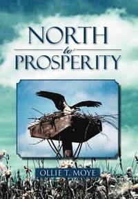 bokomslag North to Prosperity