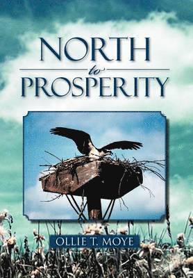 bokomslag North to Prosperity