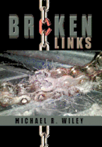 bokomslag Broken Links