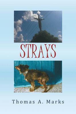 bokomslag Strays