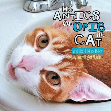 bokomslag Antics of Opie the Cat