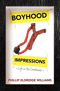 bokomslag Boyhood Impressions