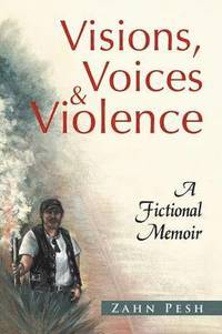 bokomslag Visions, Voices & Violence