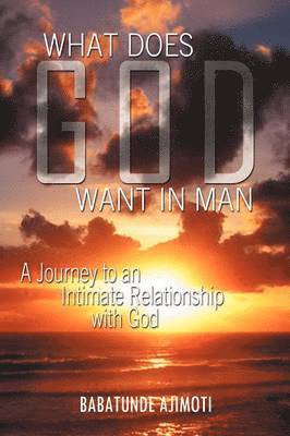 bokomslag What Does God Want in Man