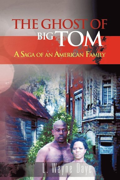 bokomslag Ghost of Big Tom