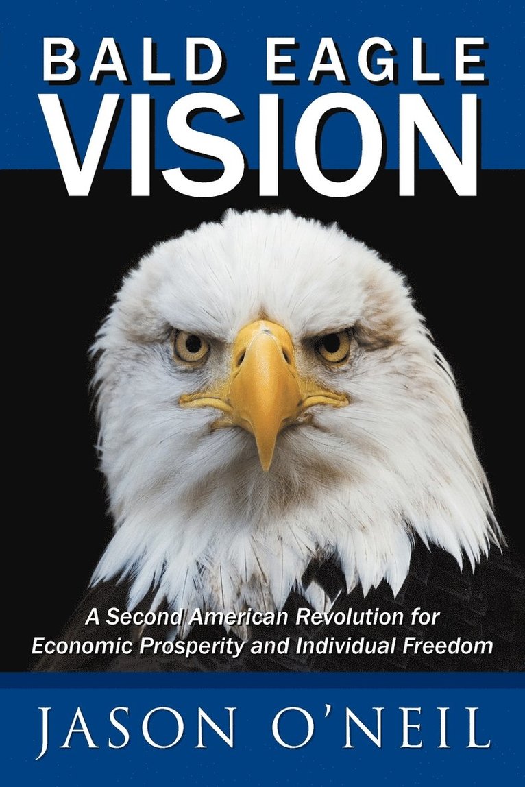 Bald Eagle Vision 1