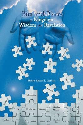 bokomslag Bits and Pieces of Kingdom Wisdom and Revelation