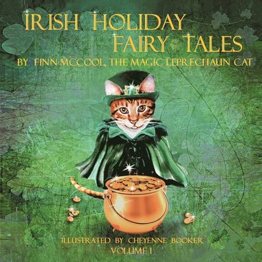 bokomslag Irish Holiday Fairy Tales