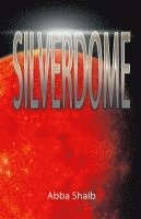 Silverdome 1