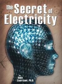 bokomslag Secret of Electricity