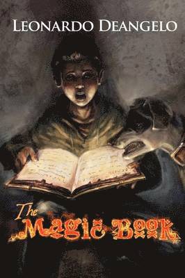 bokomslag The Magic Book