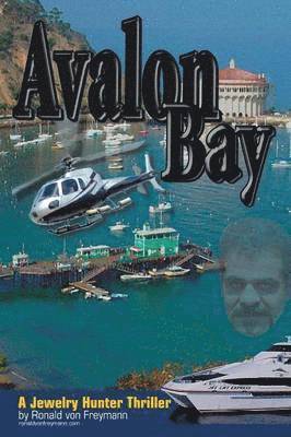 bokomslag Avalon Bay