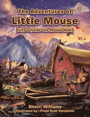 bokomslag Adventures of Little Mouse