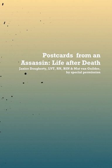 bokomslag Postcards from an Assassin