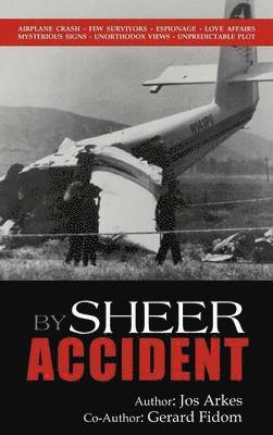 By Sheer Accident 1