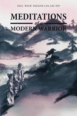 bokomslag Meditations of a Modern Warrior