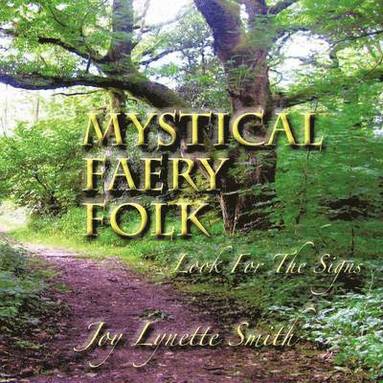 bokomslag Mystical Faery Folk