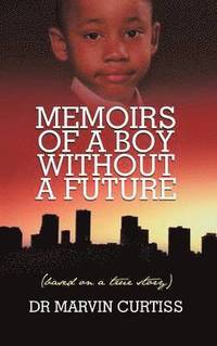 bokomslag Memoirs of a Boy Without a Future